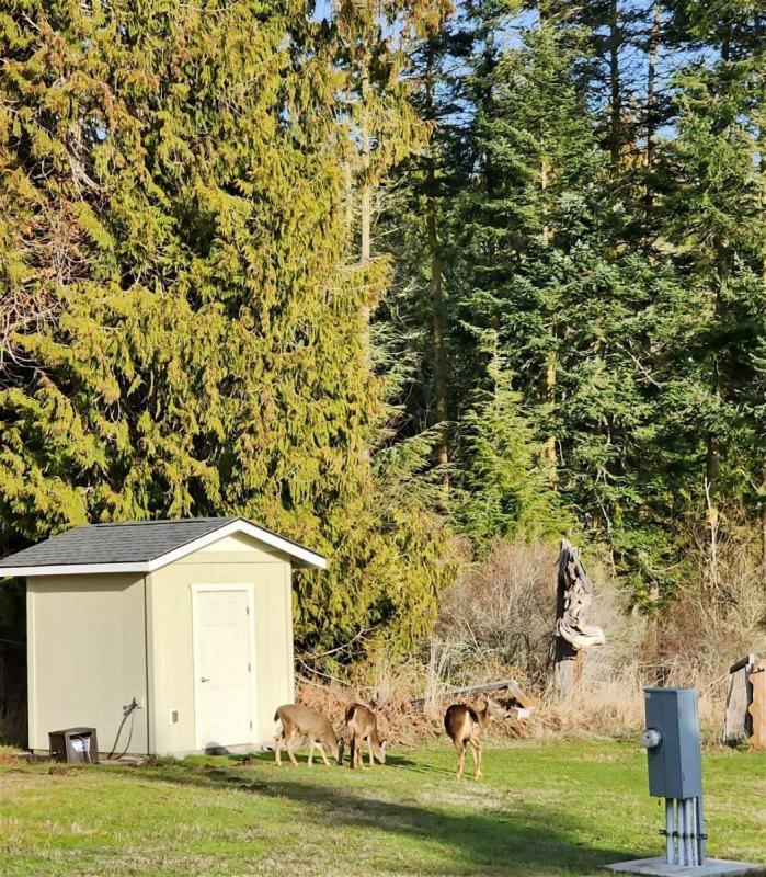 Sq Olympic-View-Cottage Sequim Exteriér fotografie